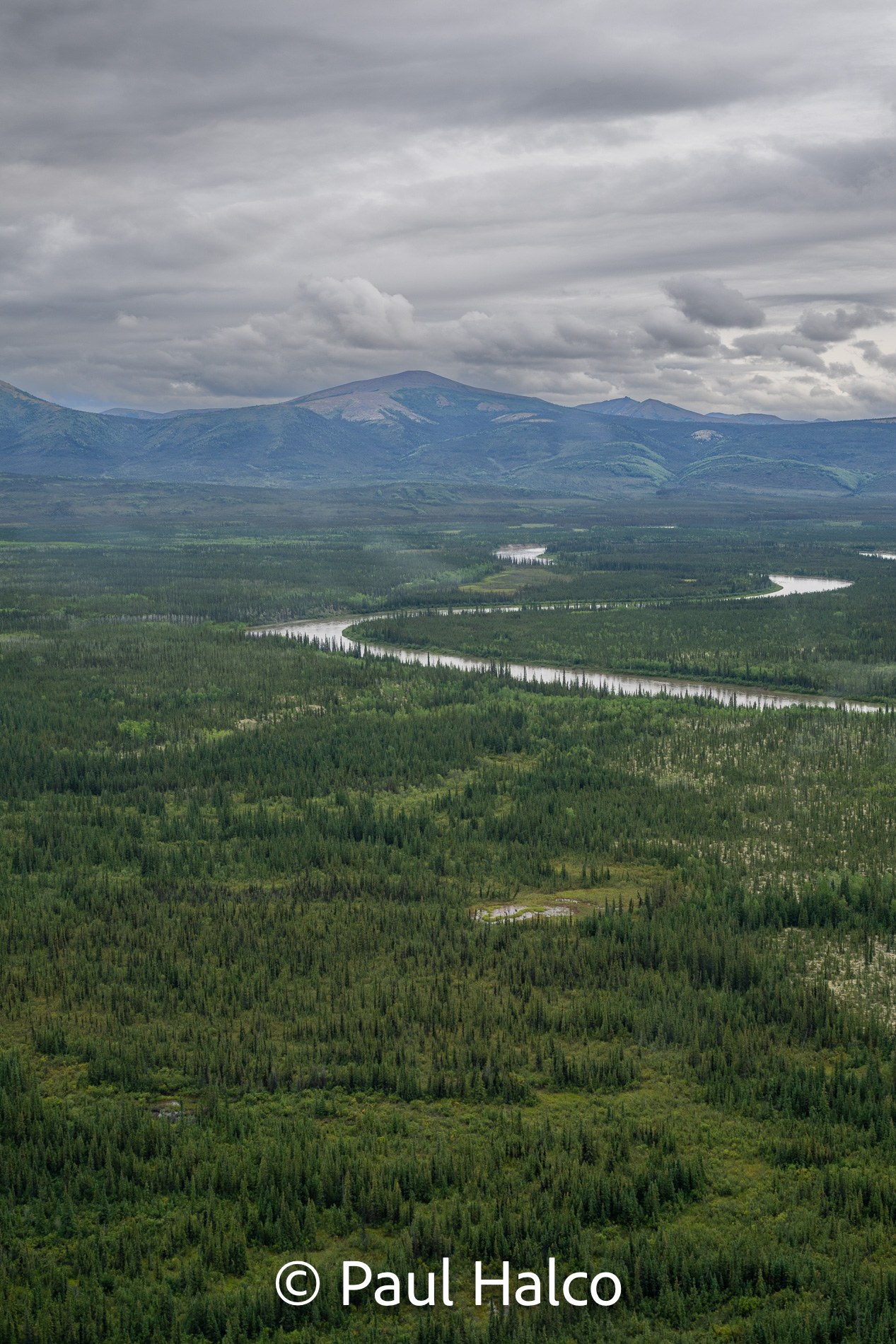 Paul Halco - Gates of the Arctic NP-40
